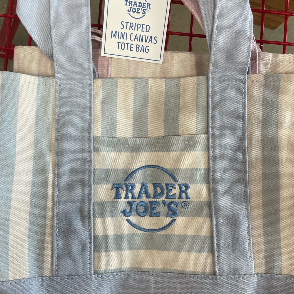 NWT Trader Joe's Striped Mini Canvas Tote Bag - Light Blue & Cream